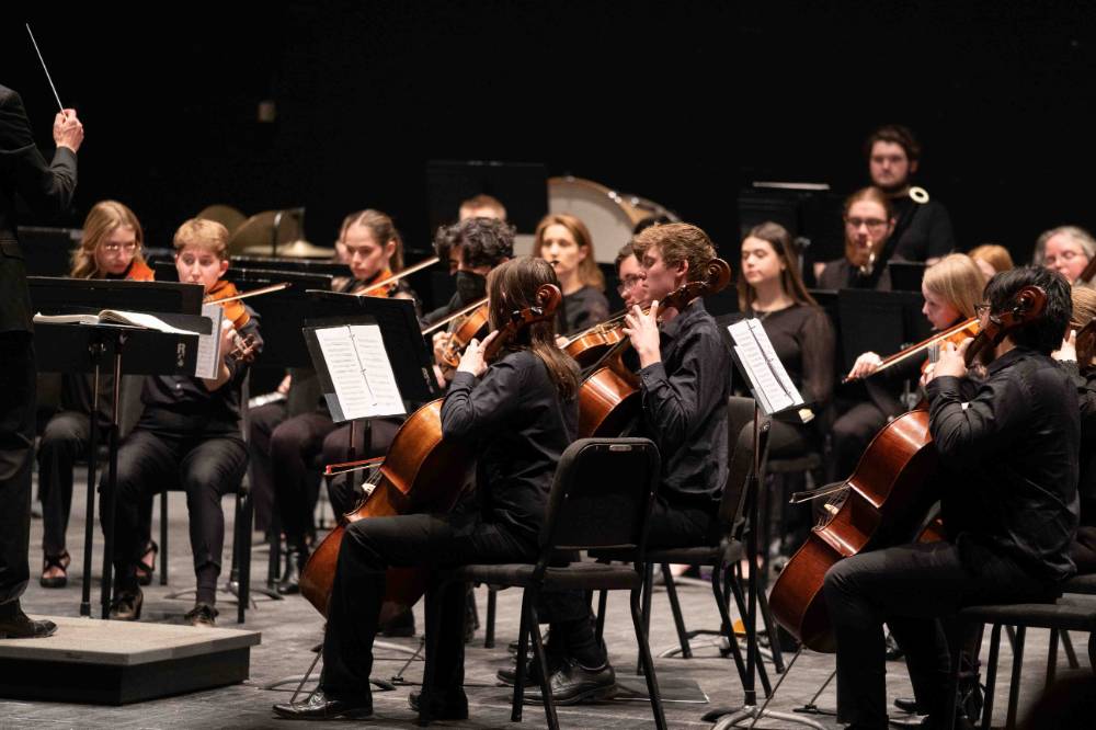 zoomed out shot of orchestra performing in theatre